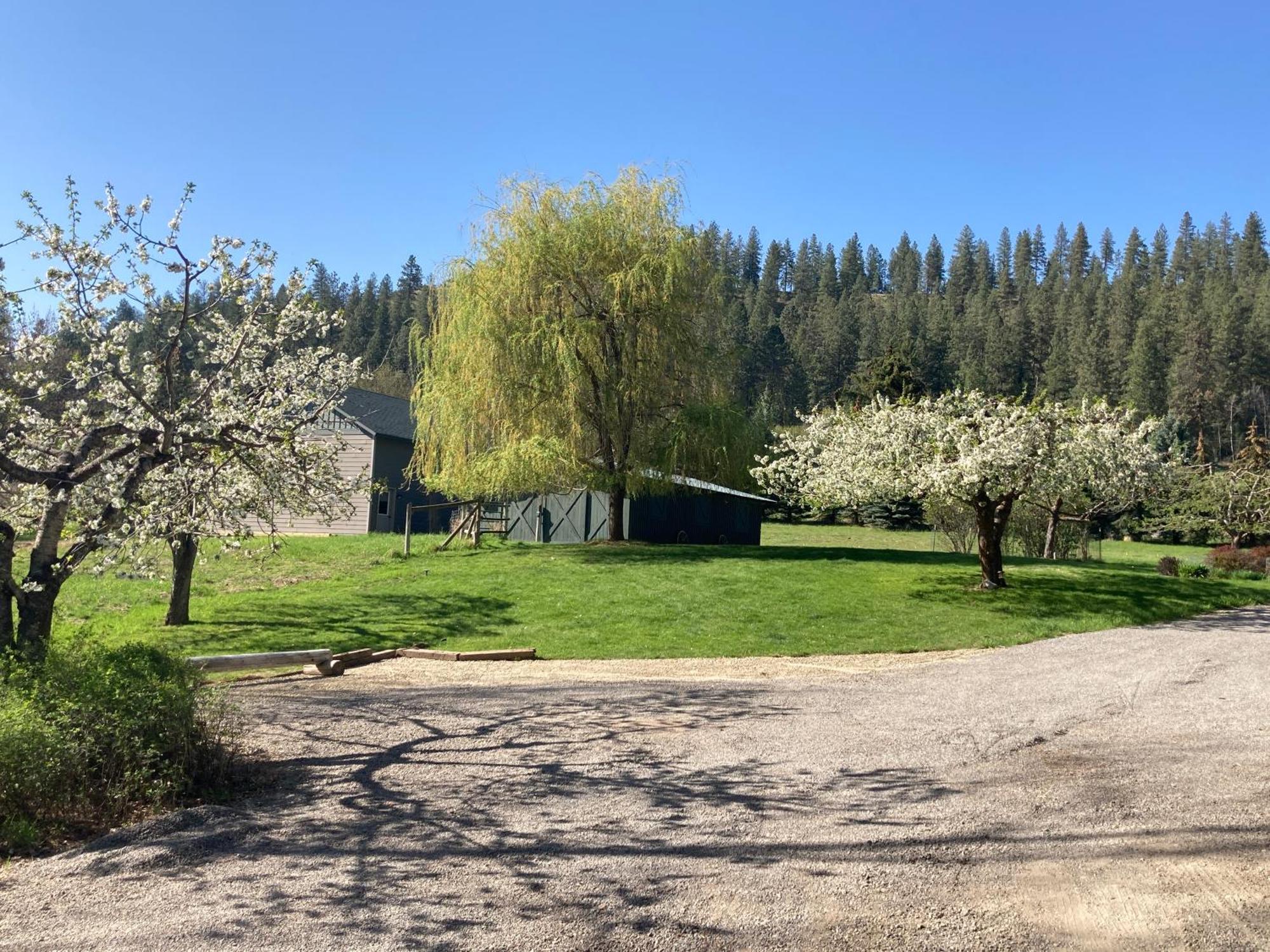 Gasthaus Hideaway Ranch Bonners Ferry Zimmer foto